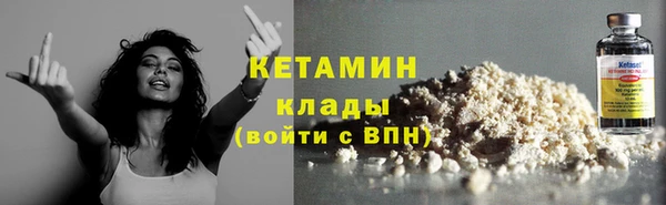 соль ск Новозыбков