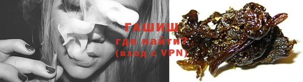 соль ск Новозыбков