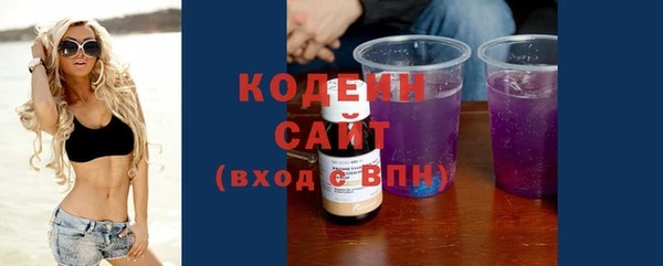 соль ск Новозыбков