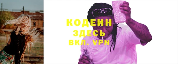 соль ск Новозыбков