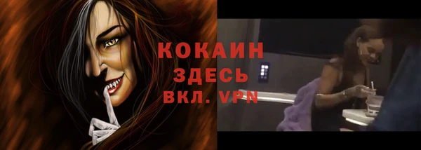 соль ск Новозыбков