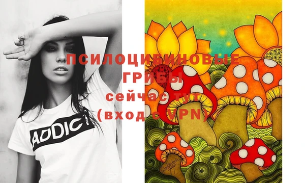 соль ск Новозыбков