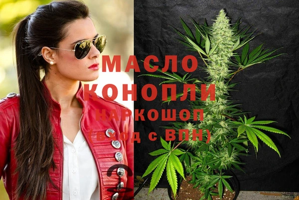 соль ск Новозыбков