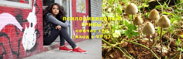МДПВ Новодвинск